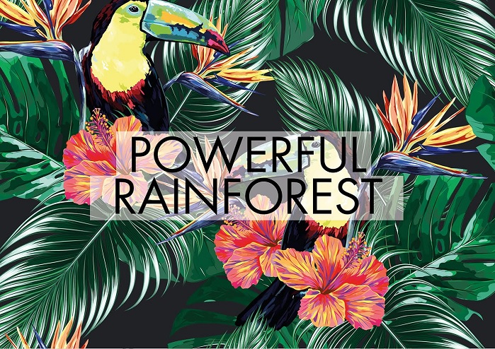 Powerful Rainforest theme. © Mare d’Amare 